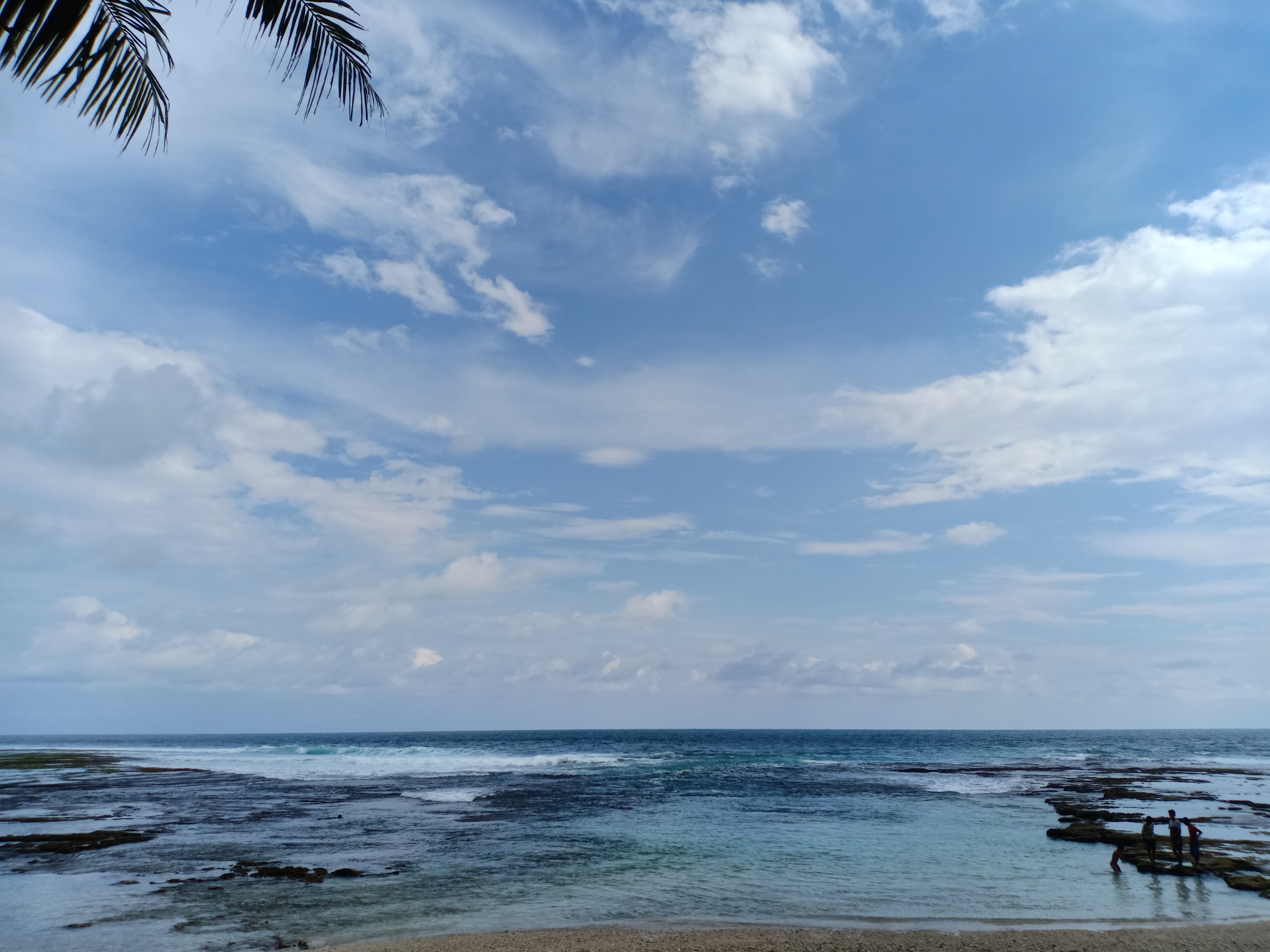 Laut
