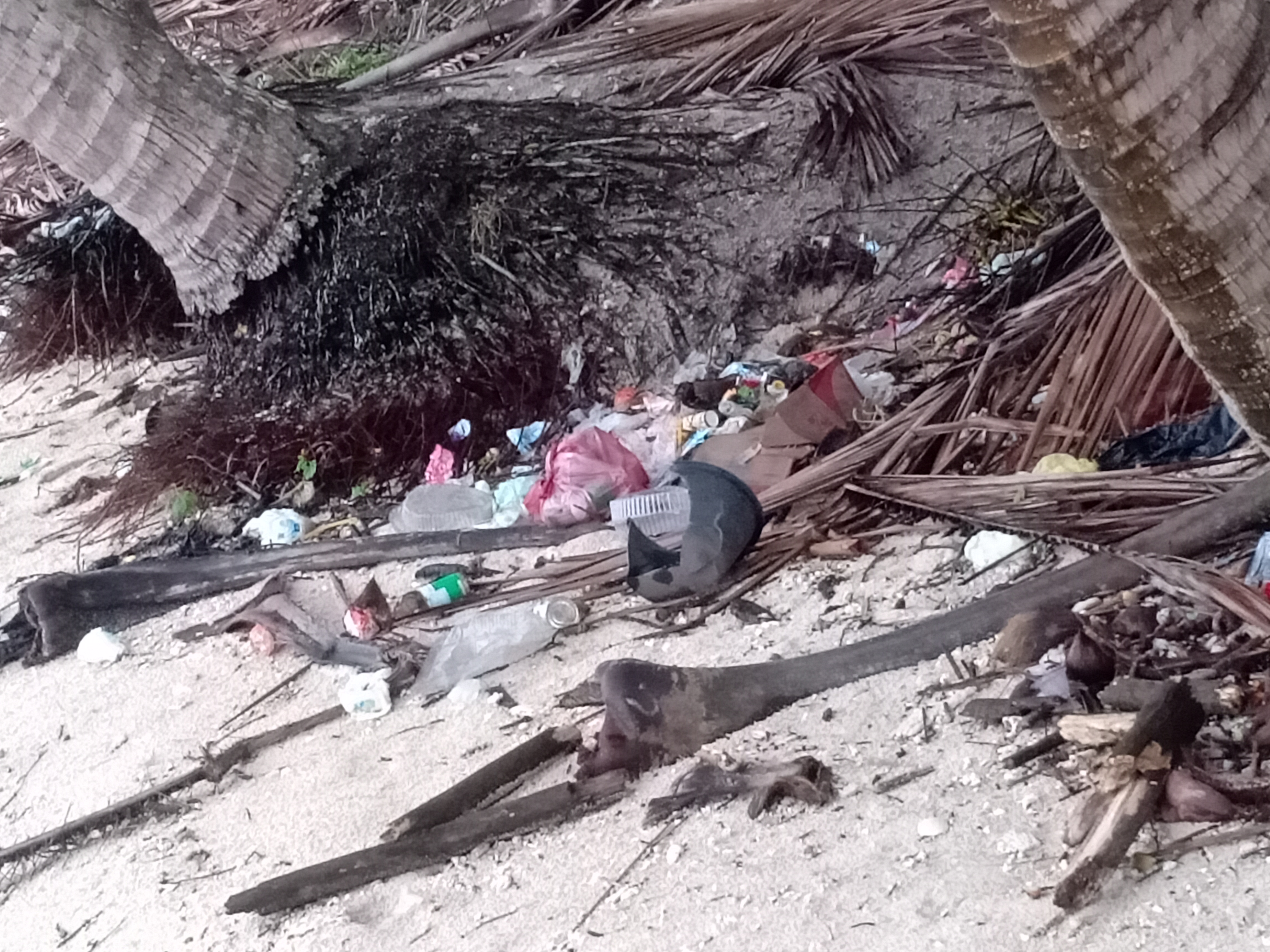 Sampah Laut